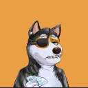 dogedami avatar