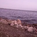 _ro.kiwi_