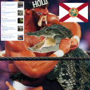 avatar steve from minecraft