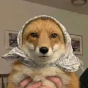 kripkripac