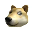 doge_plays.