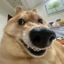 _deez_1 avatar