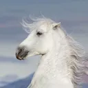 trollincactimilk