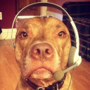 avatar 𝐊𝐫𝐚𝐳