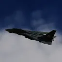 foxoneone