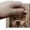 rtx_chris