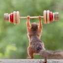 jr880402#4378's avatar