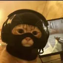 _kngi