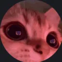 angryscgamer