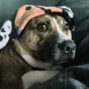 dnompal