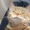 spectrafire