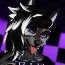 midnightraccoons