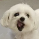 itzsploofy