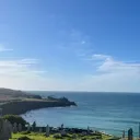 freddie_rosew22