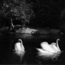 avatar 𝓔𝓵𝓮𝓷𝓪