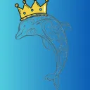 dolphin_dev