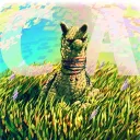 codealpaca