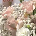stxrmdiorr