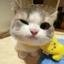 bladelord_