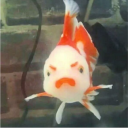 avatar koi