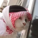 annossythearab