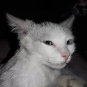 Аватар inokendiy