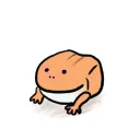 froggie42069