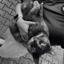 avatar 𝓢𝓲𝓮𝓷𝓷𝓪