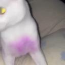 https://cdn.discordapp.com/avatars/1045299884355506266/e206922cd4cecfa1e9d354e99b7aa48d.jpg?size=128
