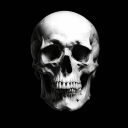 View user_87o06lnwb5ua5foo's Profile