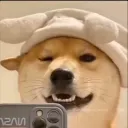 nghianguyennn