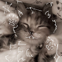 avatar destruction age