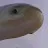 gamerfish.