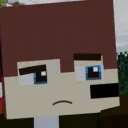 ninikblox