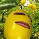 itzzlemon