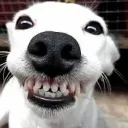 pauljake
