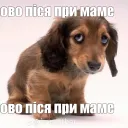 blyskiil