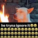 edyro11