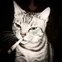 lazim_the_legend
