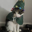 avatar ↑ ↓ ← →