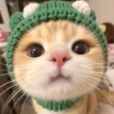 splatawr