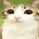 ultrahipermantequeilla avatar