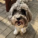 blacksourceyt