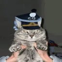 tazlasd