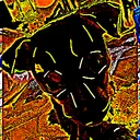 elijahfregg