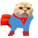 fatfatpoofikcat