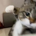 micgee