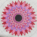 avatar 𝐅𝐥𝐨𝐫𝐚