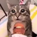 eviltrashyy