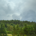 duckarelol's profile picture